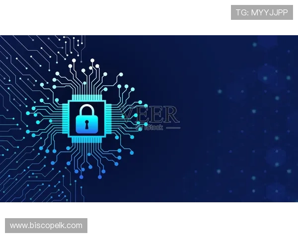 游戏平台pss的安全防护措施与用户隐私保护策略全面解读